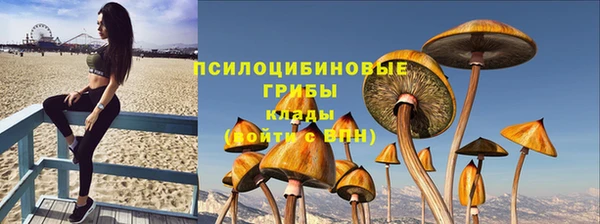 сатива Нея