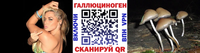 Псилоцибиновые грибы ЛСД  как найти закладки  Порхов 